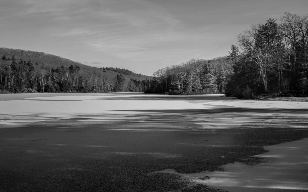 The Pond