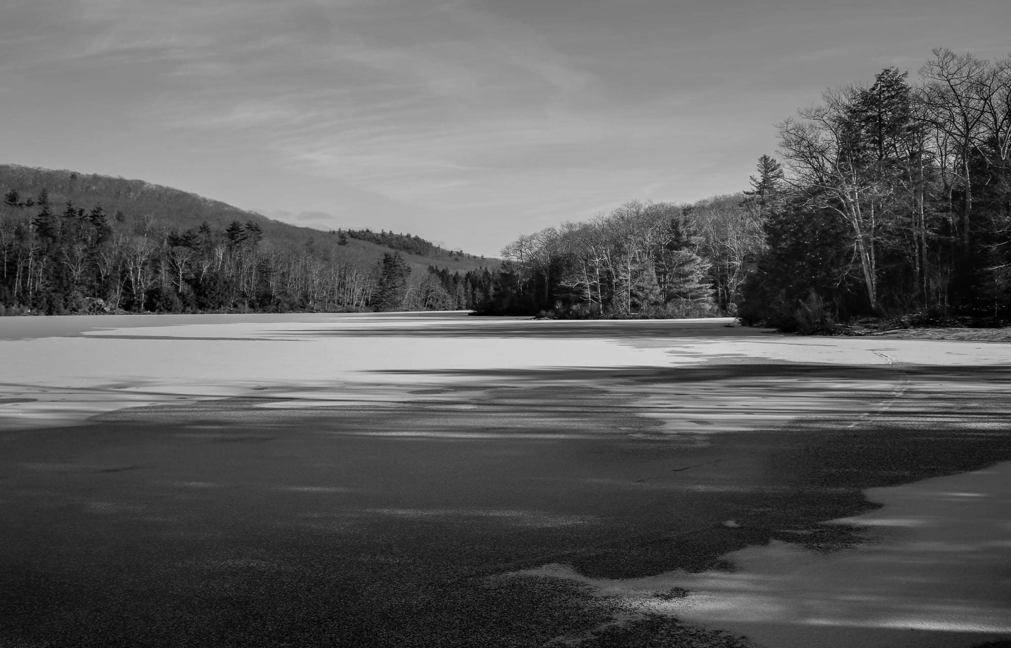 The Pond