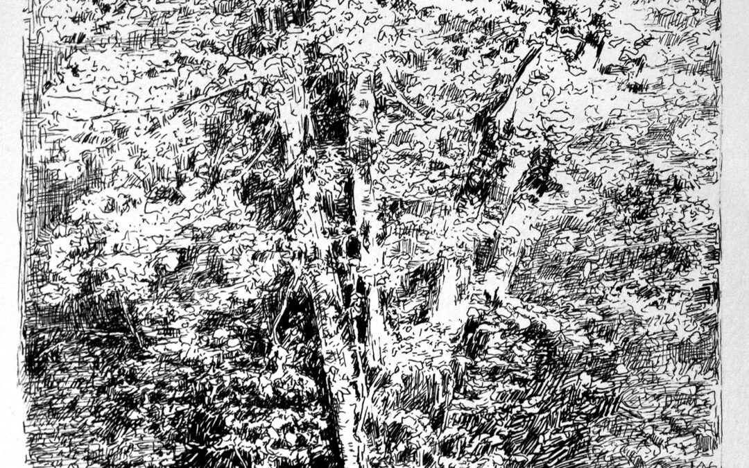Tree Study #2
