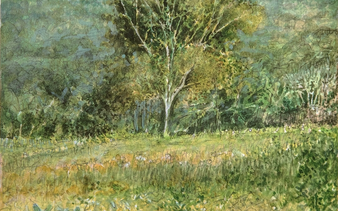 Tree at Jug End