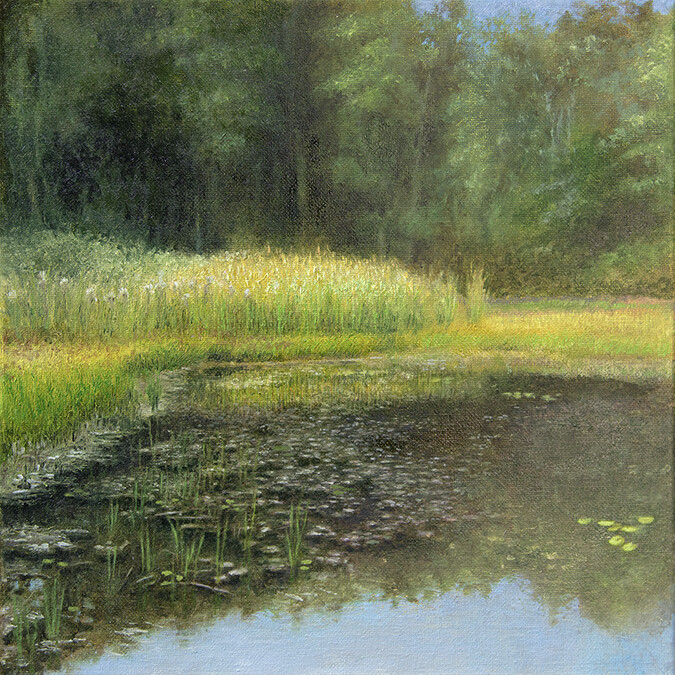 Cattails at Pike’s Pond