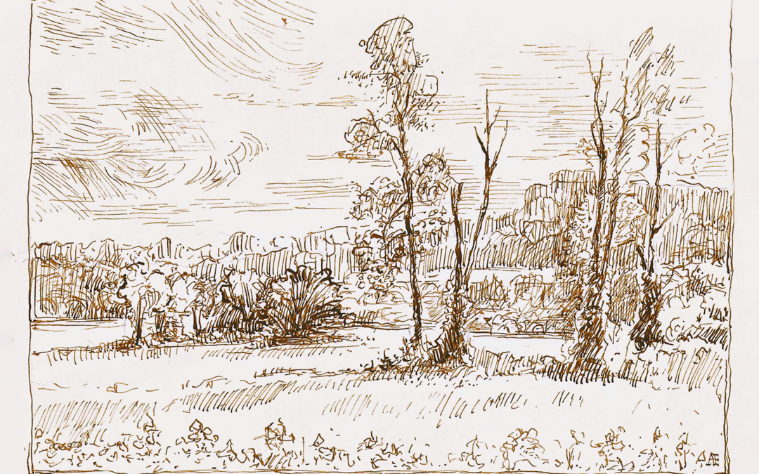Jug End ink drawing