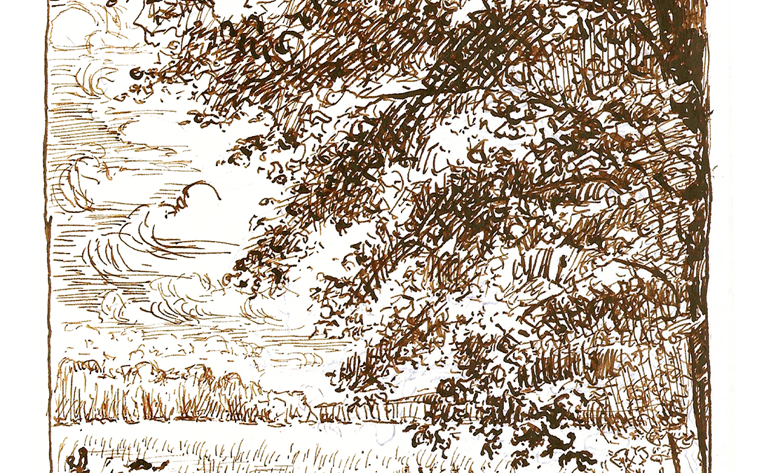 North Plain Farms ink drawing