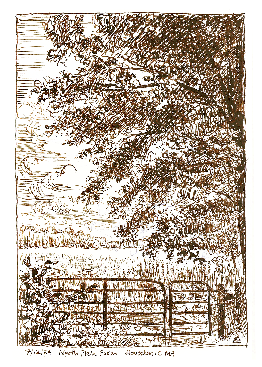 North Plain Farms ink drawing