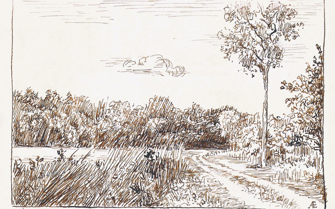 Stephentown ink drawing