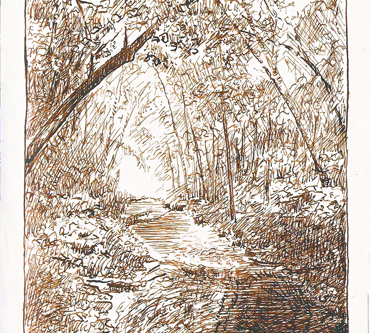 Williams River ink drawing