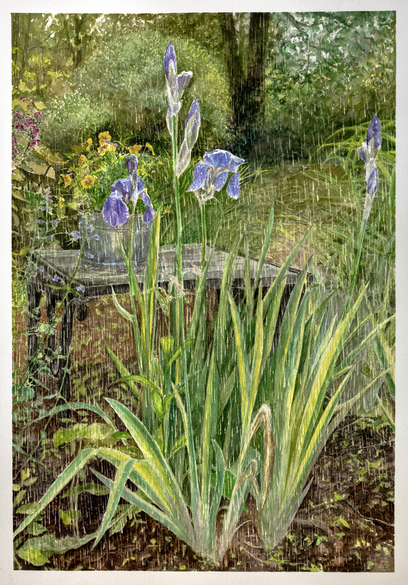 Afternoon Rain in the Garden, watercolor painting by Andreas Engel