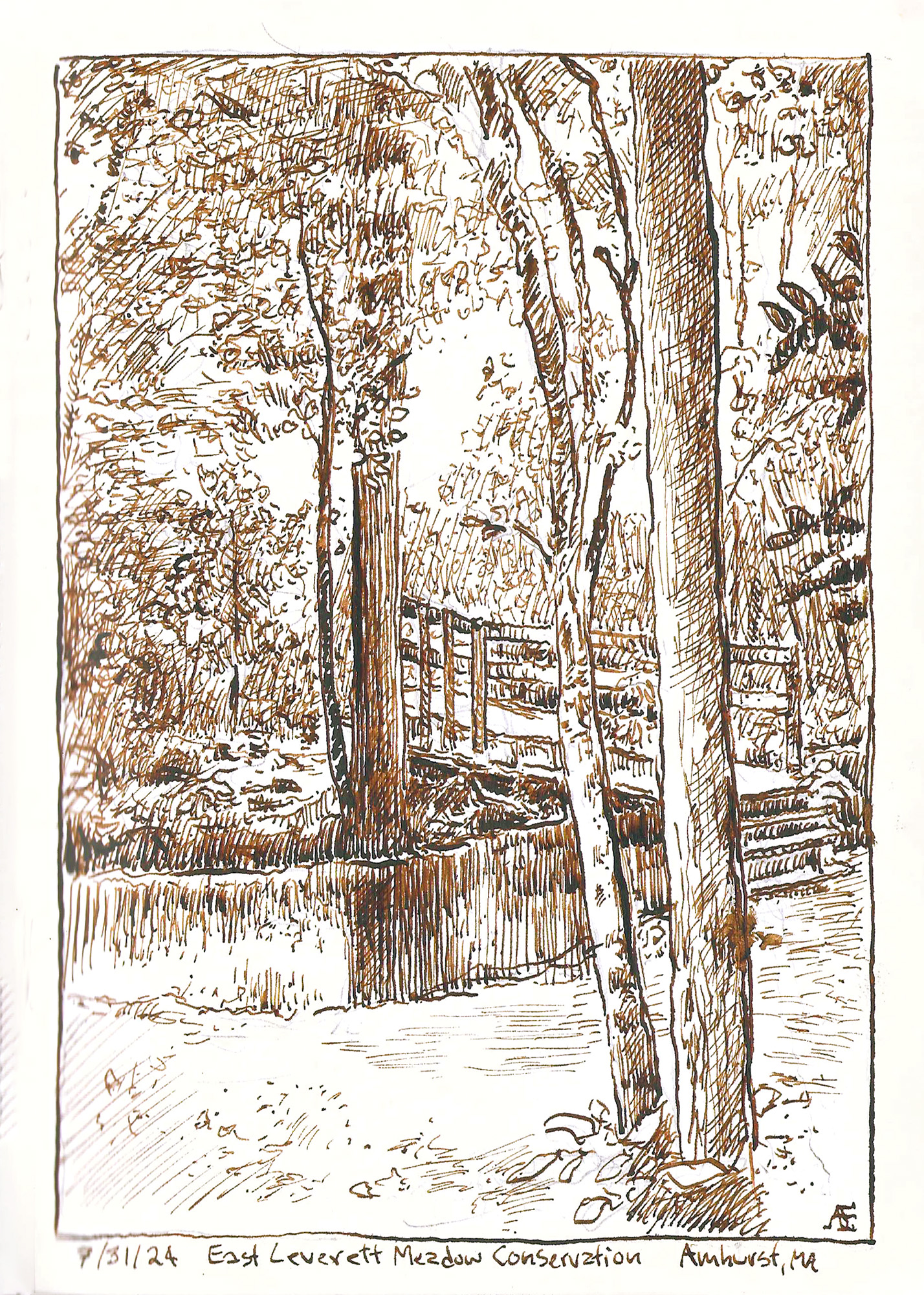 Azalea bumblebees ink drawing by artist Andreas Engel